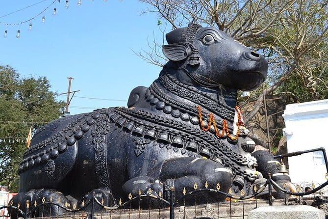 City tour of Beautiful Bengaluru - Half Day - Key highlights you should care about