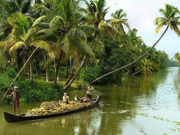 Cochin : Alleppey/Alappuzha Backwater Canoe (Shikara) Cruise - Key things that make this Shikara cruise work