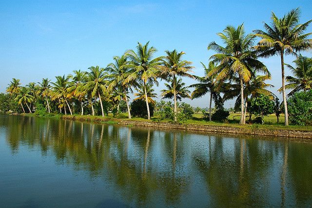 Cochin : Alleppey/Alappuzha Backwater Canoe (Shikara) Cruise - Why a Shikara cruise in Aleppey is the smart backwaters option