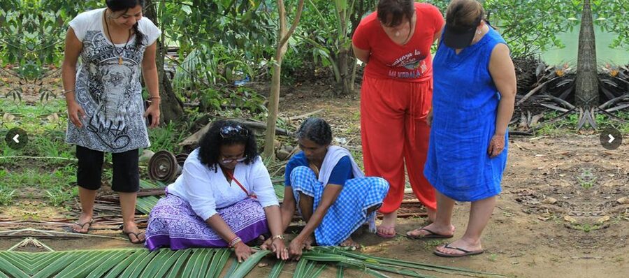 Cochin: Backwater Village Eco Boat Cruise with Lunch - Non-motor backwaters from Fort Cochin: why this tour feels special