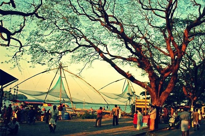Cochin City or Backwater Shore Excursions from Cruise Terminal - Price and time: what $27.50 really buys you