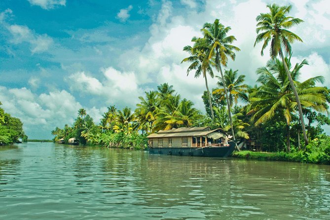 Cochin City or Backwater Shore Excursions from Cruise Terminal - Meeting the guide at Sagarika Cruise Terminal and spotting the Blue Umbrella