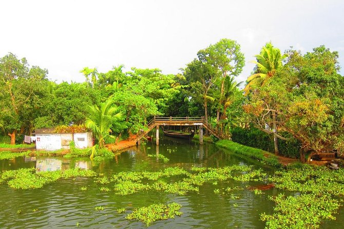 Cochin Shore Excursions from Cruise Terminal - Logistics That Can Affect Your Comfort: Road Time, Bus Seats, and Weather