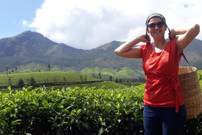Cochin to Munnar Day trip - Cinnamon Gardens Spices Plantation Stop (Entry Fee Not Included)