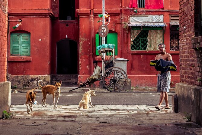 Cultural Confluence of Kolkata - Culture Kaleidoscope Tour - Starting Near Indian Airlines Office, Ending by Brabourne Road
