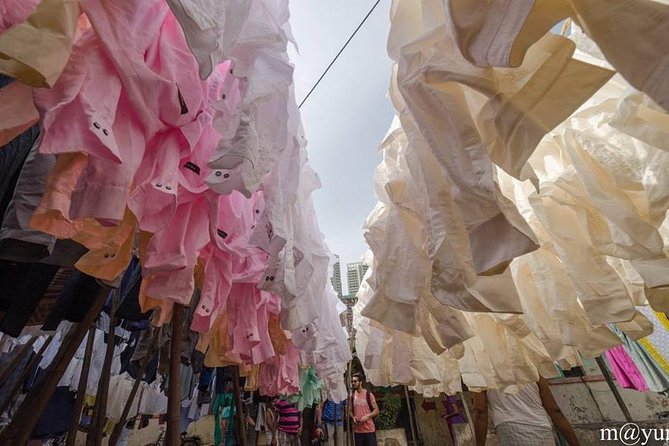 Dabbawala, Dhobi Ghat & Dharavi slum Tour with Local Train Ride - Guides make or break it, and this tour is guide-driven