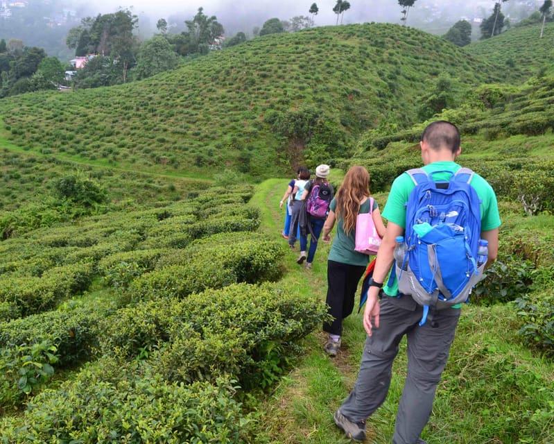 Darjeeling Cultural & Nature Walking Guided Tour - Price and value: $38 for 6 hours that mixes walks, museums, and craft culture