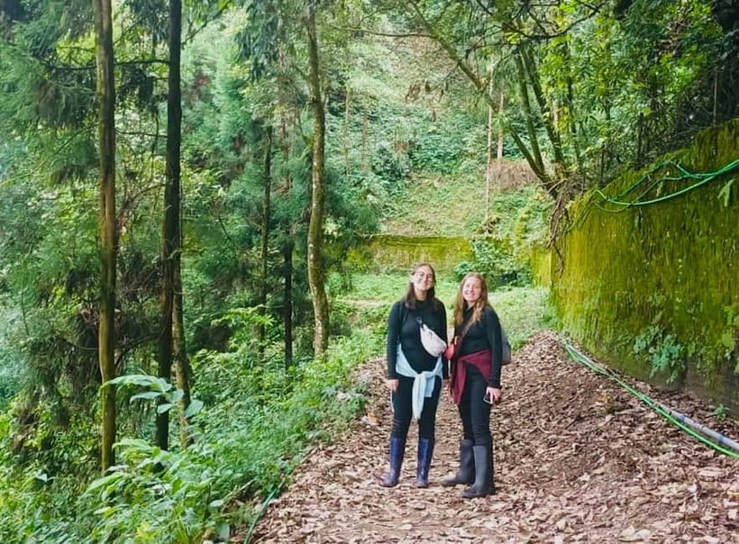 Darjeeling Cultural & Nature Walking Guided Tour - A six-hour Darjeeling walk with real culture and real views