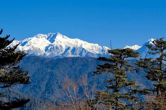 Darjeeling Tonglu Day Trek - Key things that make the Tonglu day trek feel worth it