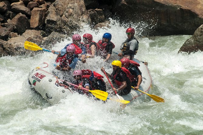 Day Rafting in Rishikesh - 26km - Key highlights to know before you go