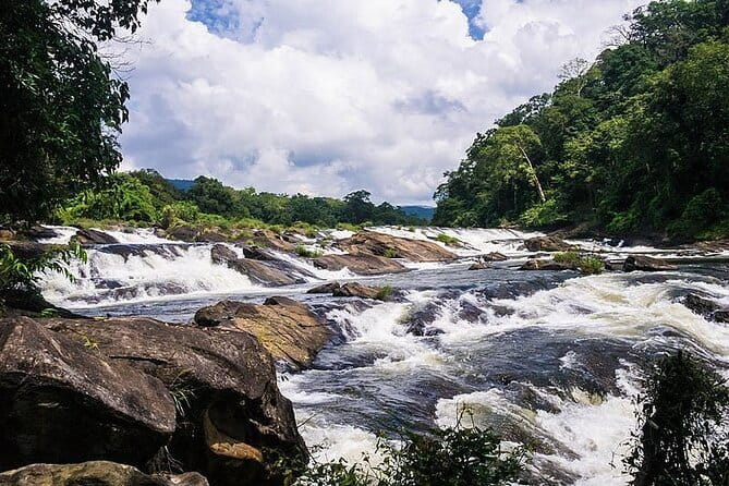 Day Trip to Athirappilly Water Falls by Kochi Taxi - A Day Trip That Starts With Pickup, Not Planning