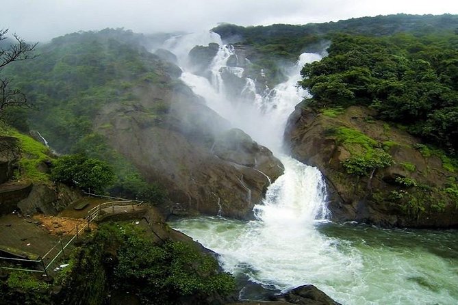 Day Trip to Mollem National Park Including Dudhsagar Falls and Jeep Safari from Goa - Price and value: is $203 a fair deal?