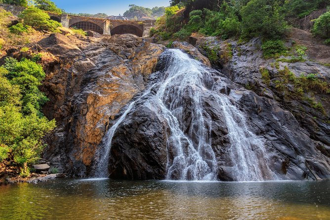 Day Trip to Mollem National Park Including Dudhsagar Falls and Jeep Safari from Goa - Dudhsagar Falls: picnic, swimming, and the tough-but-worth-it view hike
