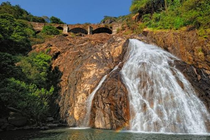Day Trip to Mollem National Park Including Dudhsagar Falls and Jeep Safari from Goa - The 7:00 am start: pickup areas and what to expect