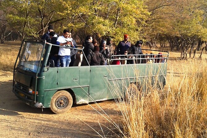 Day Trip to Ranthambore Tiger Reserve from Jaipur - Spotting Wildlife: Tigers, Crocodiles, Deer, and Real-World Expectations