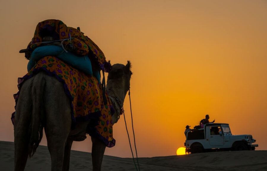 Dazzling Half Day Camel & Desert Safari With Sunset & Dinner - Who this tour fits best, and who should think twice