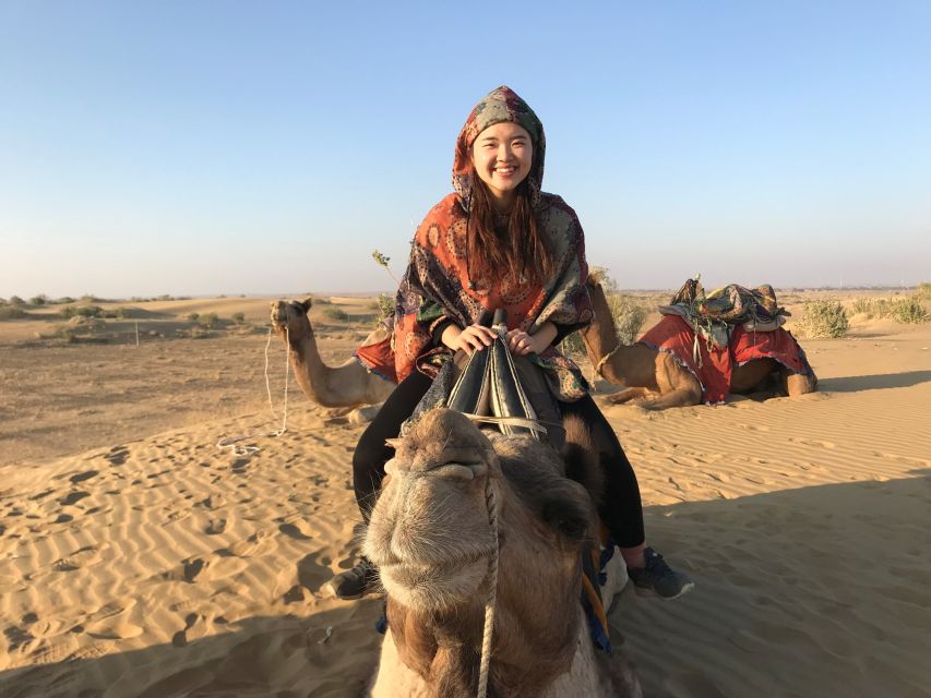 Dazzling Half Day Camel & Desert Safari With Sunset & Dinner - Value and pricing: is $32 a good deal for what you get?