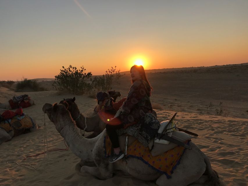 Dazzling Half Day Camel & Desert Safari With Sunset & Dinner - Jaisalmer pickup and the 3 PM departure: timing that matches the light