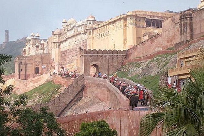 Delhi Agra Jaipur Tour with Ranthambore Wildlife Safari - Key highlights at a glance