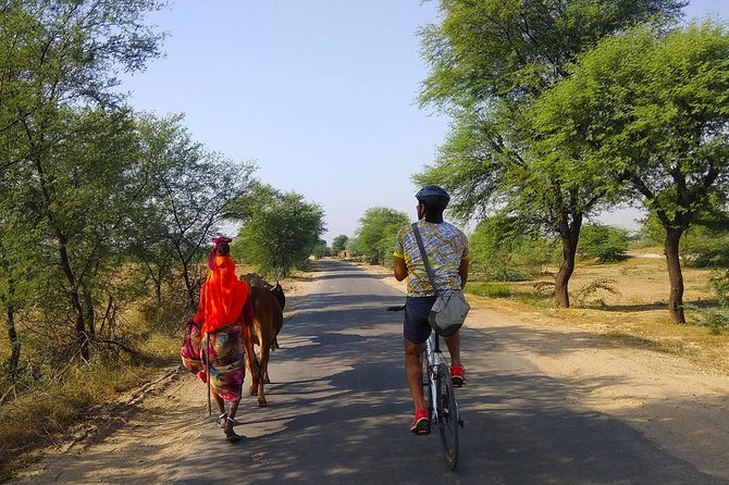 Delhi- Agra Long Distance Bicycle Trip - Day 1: Leaving Delhi, landing in Vrindavan, and riding flat village stretches