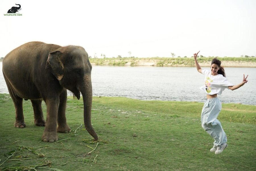 Delhi: All-Inclusive Day trip Taj Mahal with Elephant SOS - Wildlife SOS Agra elephants: required Rs 2000 donation and zone choice