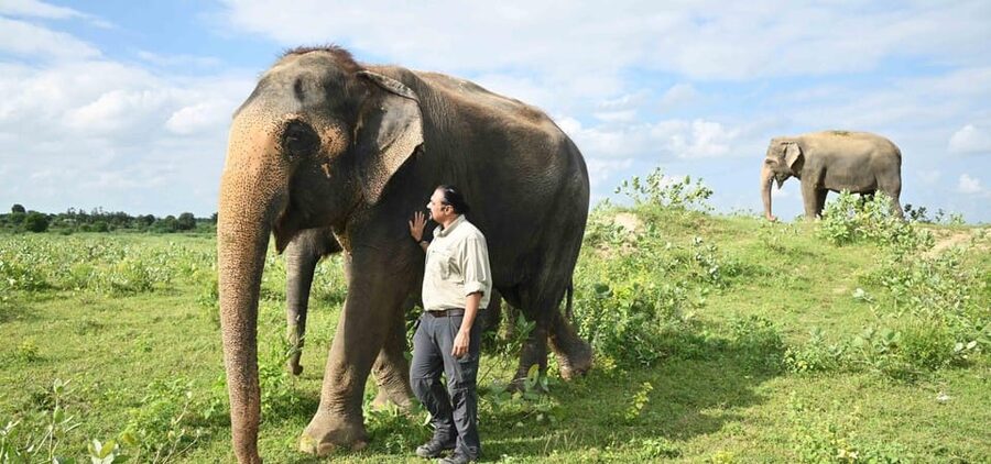 Delhi: All-Inclusive Day trip Taj Mahal with Elephant SOS - FAQ