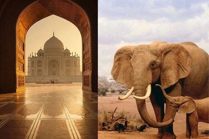 Delhi: Same Day Taj Mahal & Agra Fort Tour with Baby Taj & Lunch - Baby Taj (Itmad-ud-Daulah): marble and pietra dura details