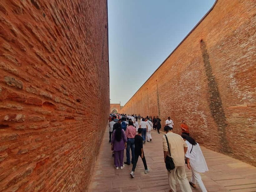 Delhi: Sunrise Taj Mahal & Elephant SOS Tour with Transfers - Wildlife SOS Elephant Care: feeding, viewing, and what you should know