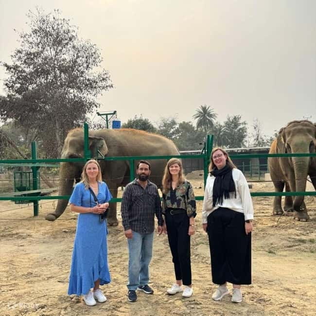Delhi: Sunrise Taj Mahal & Elephant SOS Tour with Transfers - Taj Mahal sunrise: separate entrance, guided flow, and the timing gamble