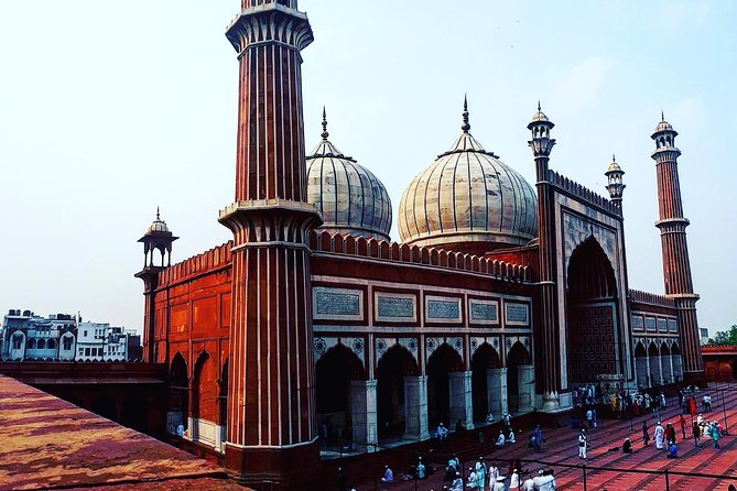 Delhi Tour with private car and local guide full day - Private Car and Pickup, Plus How the Schedule Really Works