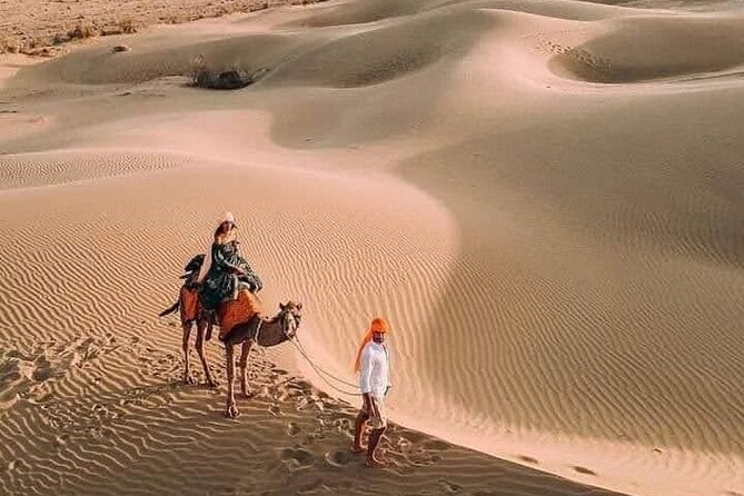 Desert Camel & Jeep Safari Private Tour From Jodhpur - Key highlights to know before you go
