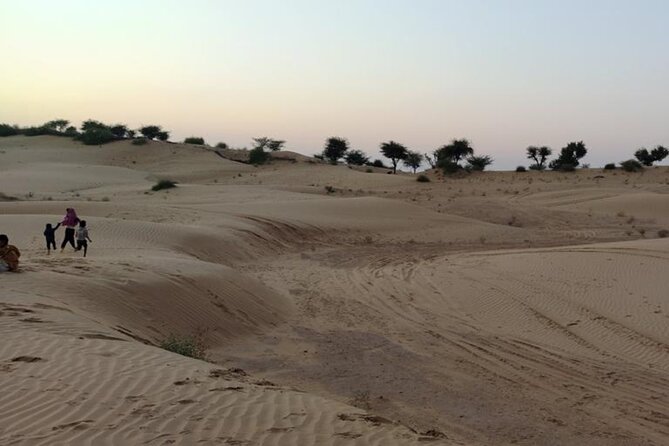 Desert Camel & Jeep Safari Private Tour From Jodhpur - How the 3:00 pm timing fits real desert life