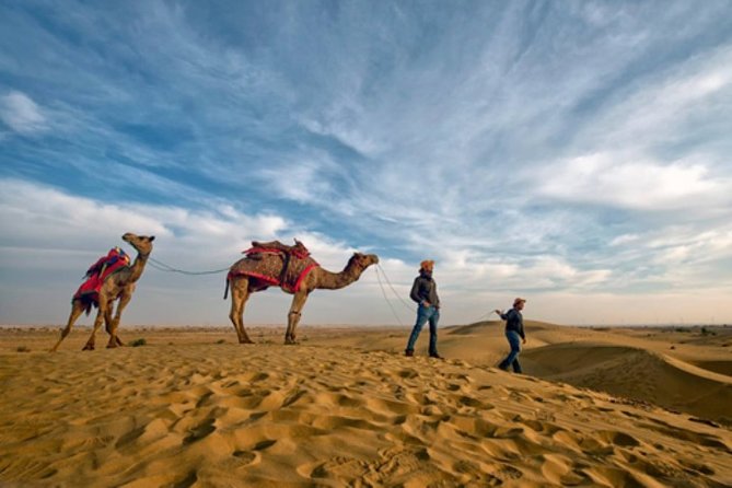 Desert Camel Safari Day Tour In Jodhpur - Key highlights at a glance