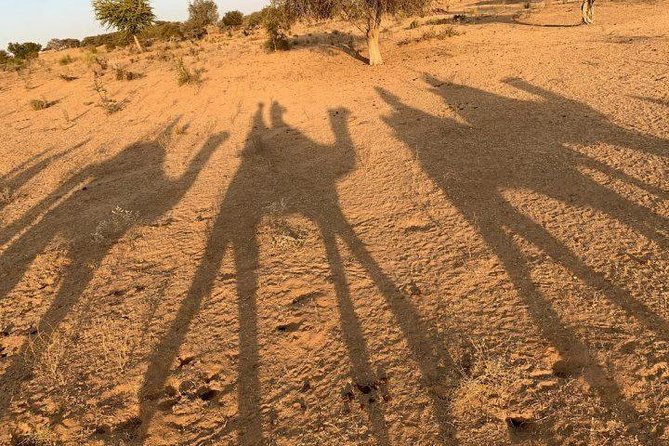 Desert Camel Safari Day Tour In Jodhpur - How the 2:00 or 2:30 Pickup Works in Jodhpur