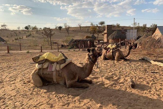 Desert Camel Safari Day Tour In Jodhpur - Jeep Safari Options and What They Usually Mean