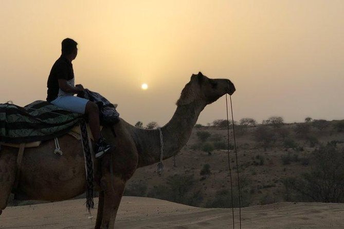 Desert Camel Safari Day Tour In Jodhpur - Sachiya Mata Temple: Self-Guided but Free