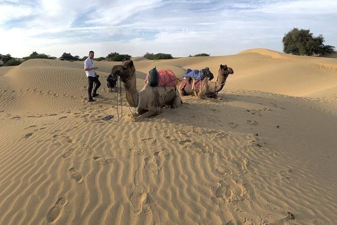 Desert Camel Safari & Jeep Safari Tour From Jodhpur - The camel safari in the Thar: sunset, peace, and practical tips