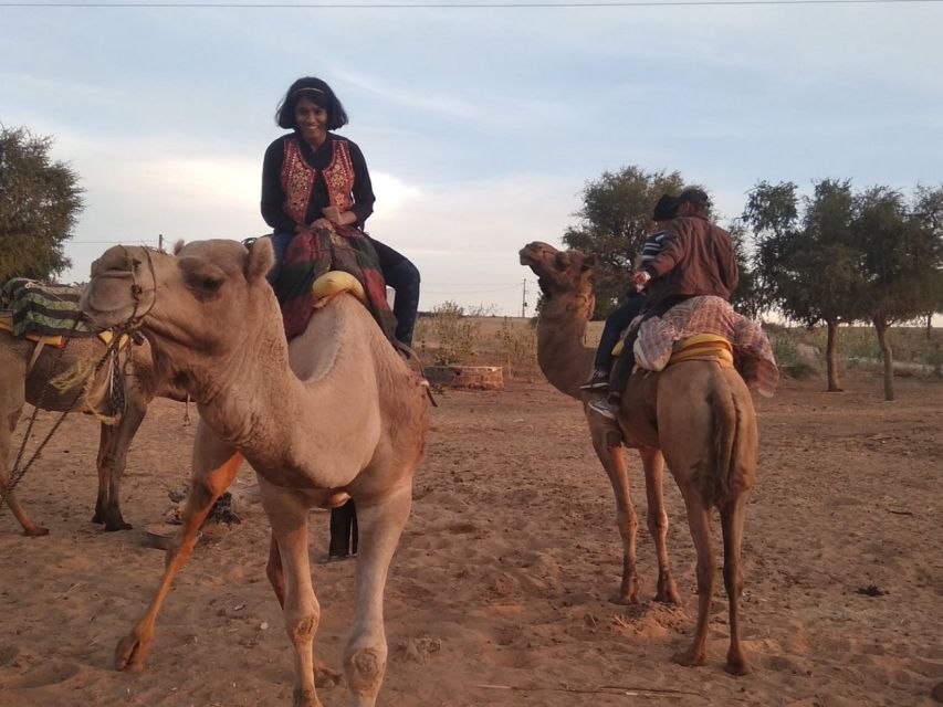 Desert Jeep Safari & Camel Safari Tour From Jodhpur - Key things I’d tell you upfront