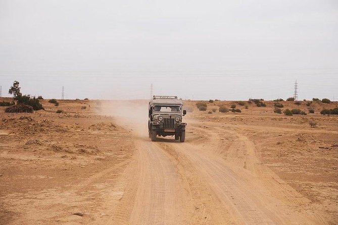 Desert Safari Tour Package - Camping night under the Thar sky: dinner, rest, and what you are really signing up for