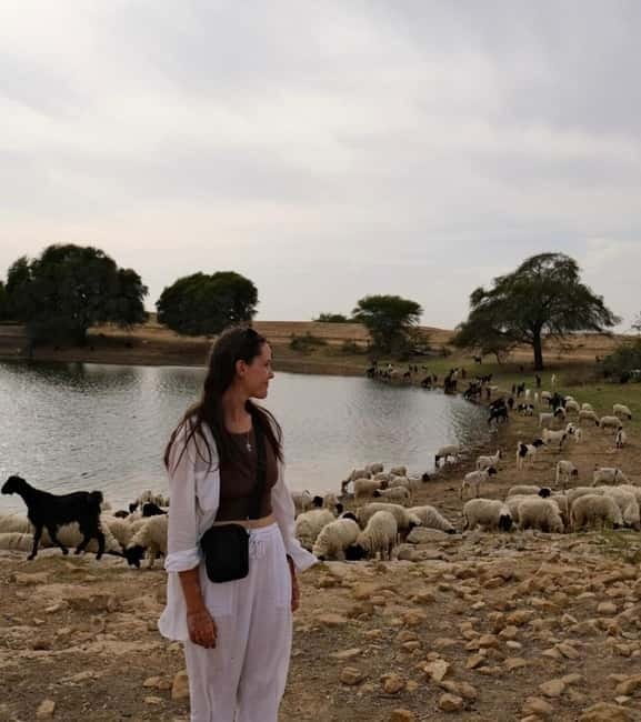 Desert Tour Jaisalmer - Who should book this Thar camel safari (and who should skip it)