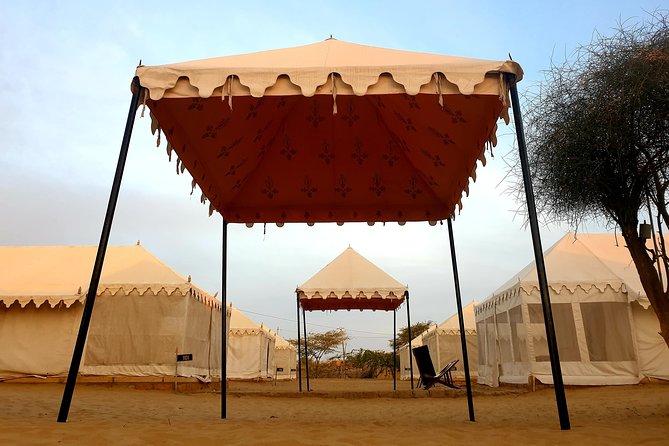 Desert Tour with Camel Safari, jeep safari - accommodation in luxury Swiss tent - Key takeaways before you go