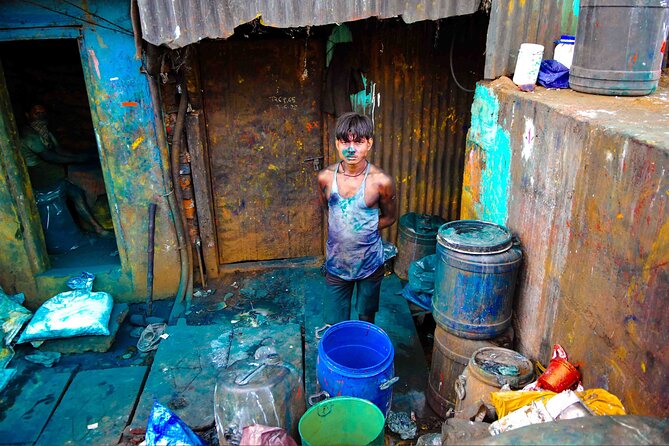 Dharavi Tour Including Car Transfer - Walking Dharavi Lanes: Industries and Communities You Can See