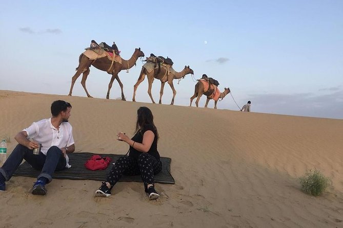 Dinner on the Dunes & Camel Safari - Quick hits, before you book