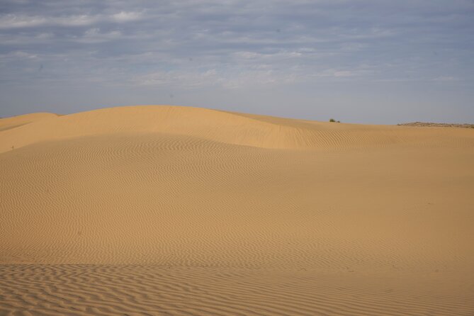 Dinner on the Dunes & Camel Safari - Stop 1, Wanderlust Camel Safari: The Camel Ride That Sets the Tone