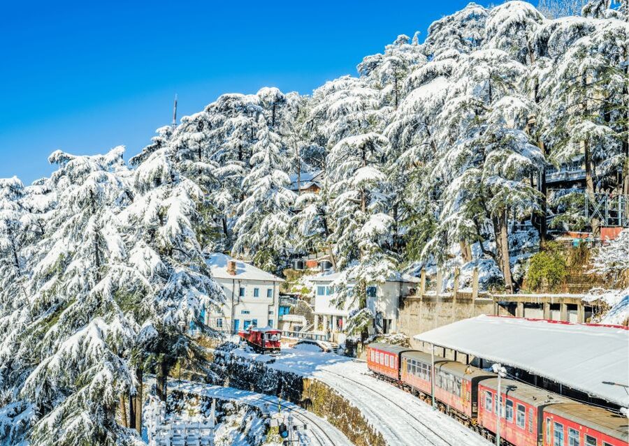 Discover the Colonial Trails of Shimla- Guided Walking Tour - Gorton Castle: neo-Gothic presence in the hills