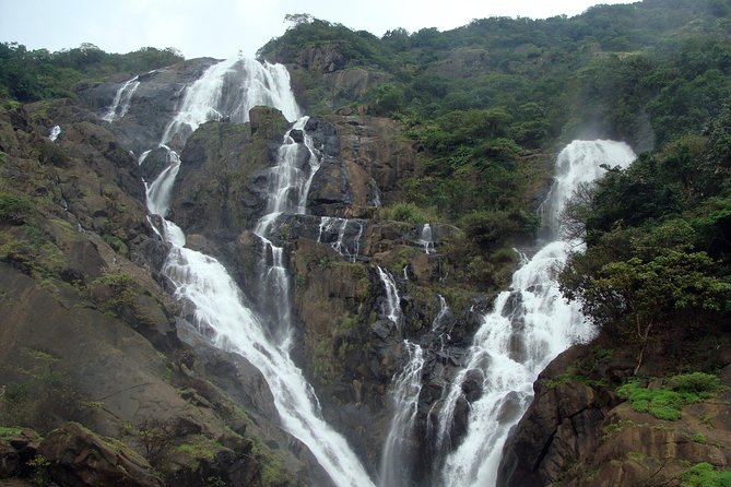 Dudhsagar waterfall wildlife & spice plantation Tour in Goa - Who this tour suits best (and who should reconsider)