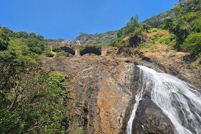 Dudhsagar Waterfalls, Jeep Safari & Spice Plantation private tour - Key highlights to know before you go