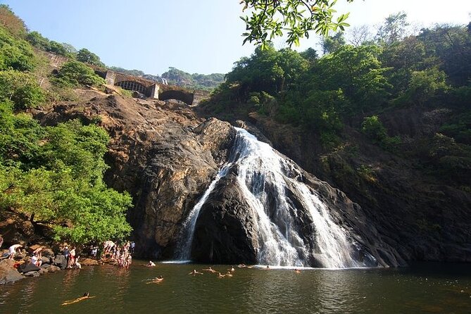 Dudhsagar Waterfalls, Jeep Safari & Spice Plantation private tour - A 7:00 am start with a tight, nature-first plan