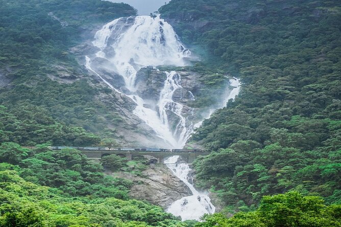 Dudhsagar Waterfalls, Jeep Safari & Spice Plantation private tour - Tropical spice plantation tour and lunch: a sensory lesson with food payoff