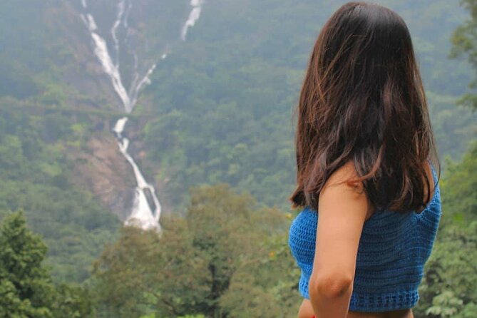 Dudhsagar Waterfalls, Jeep Safari & Spice Plantation private tour - Mollem National Park jeep safari: wildlife chances, not guarantees